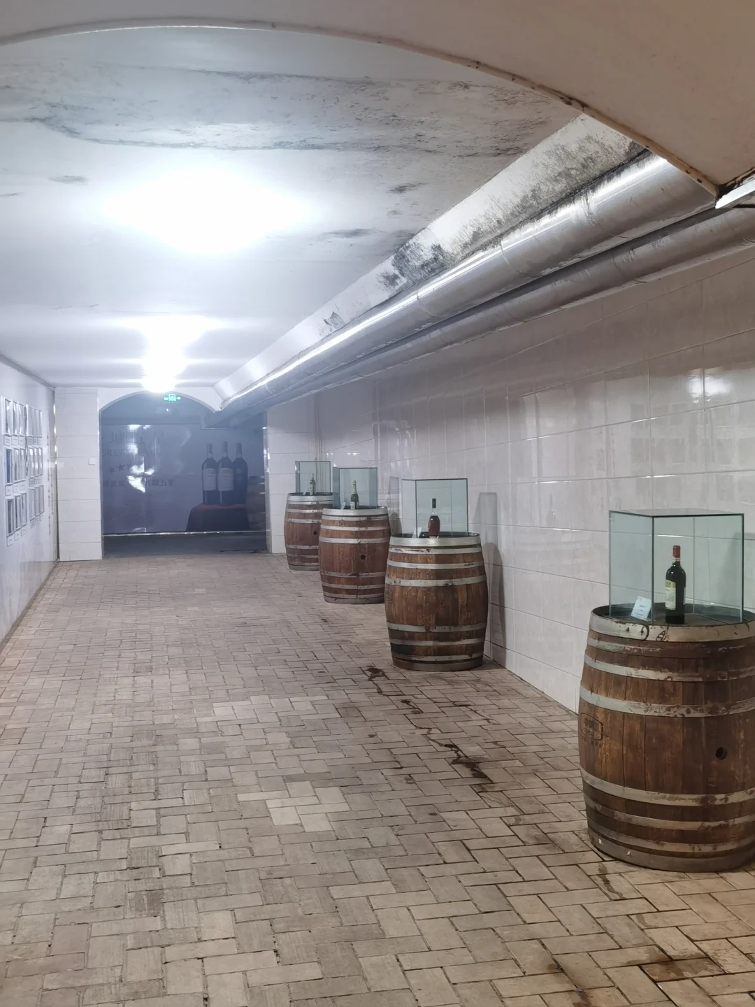 一次了解葡萄酒生命的旅程