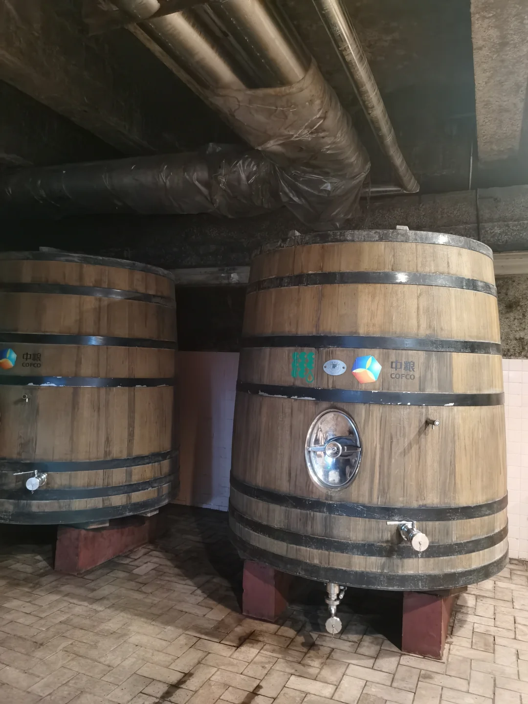 一次了解葡萄酒生命的旅程