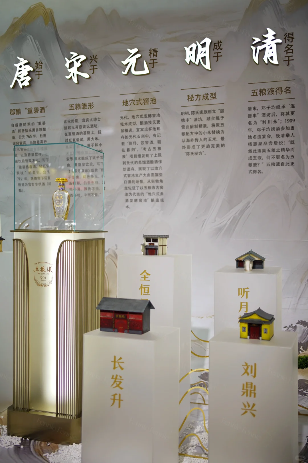 上海酒博会之五粮液