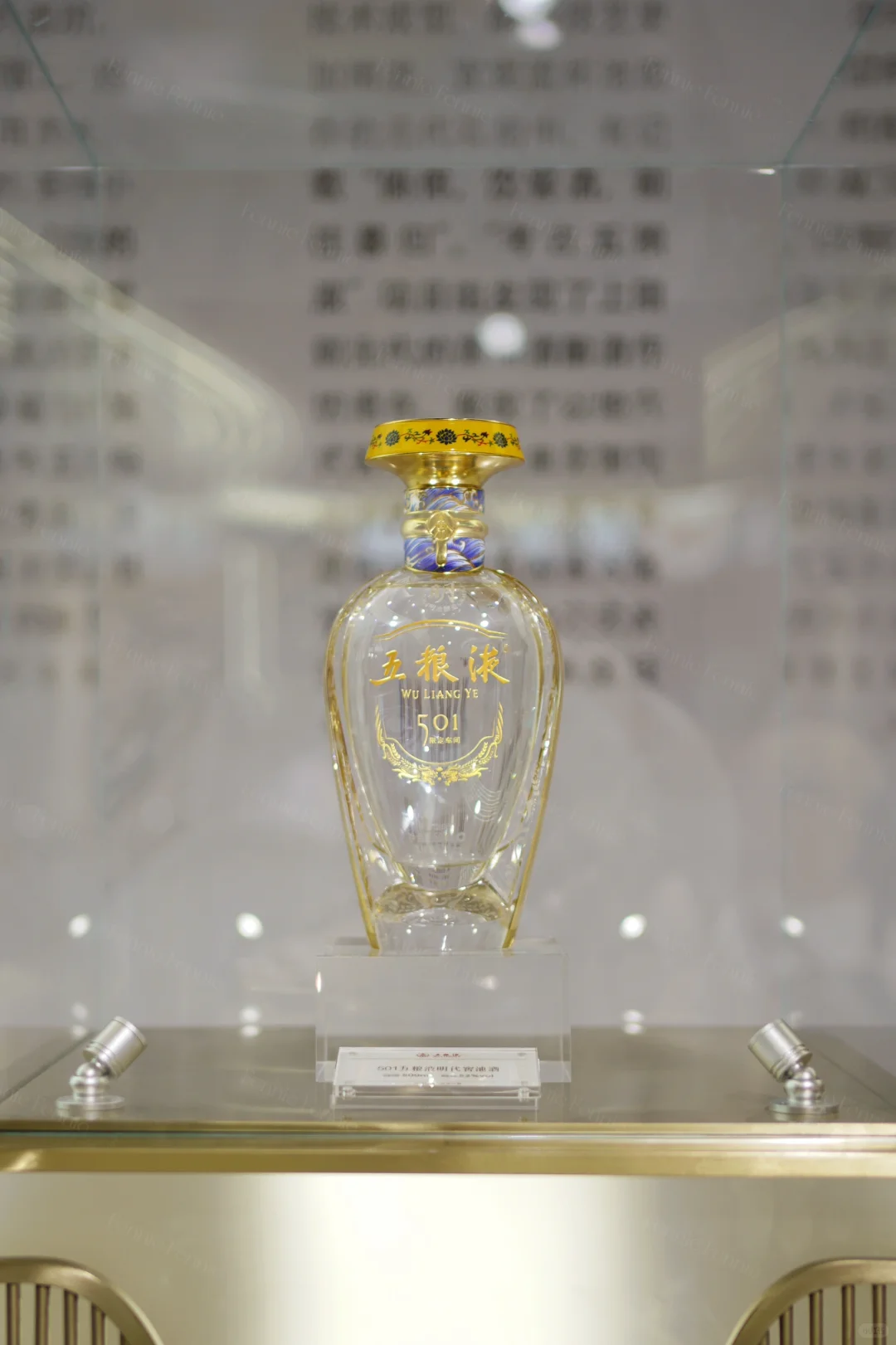 上海酒博会之五粮液
