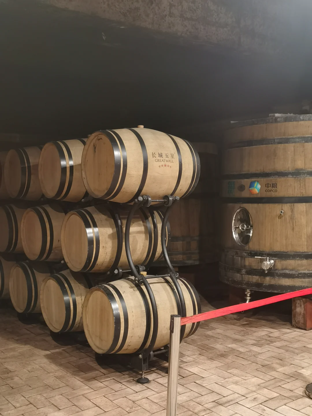 一次了解葡萄酒生命的旅程