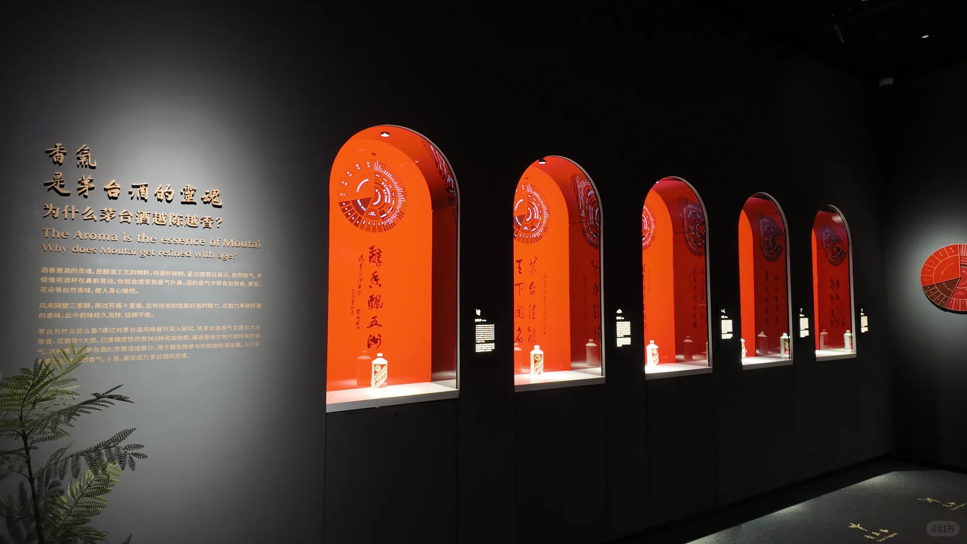 探北京茅台文化体验馆，又涨了新知识！