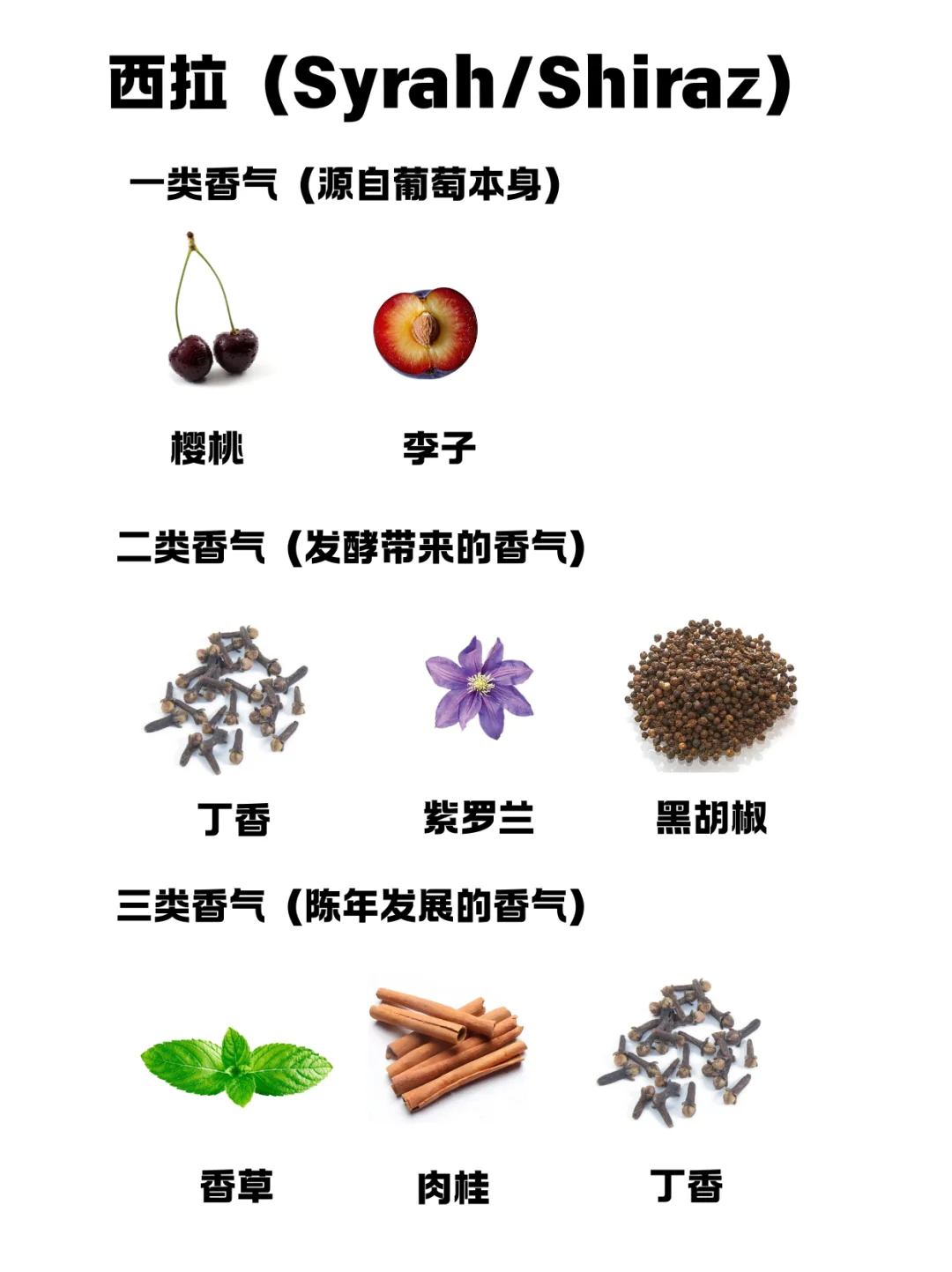 全网超全！葡萄酒香气大赏，一次看个够