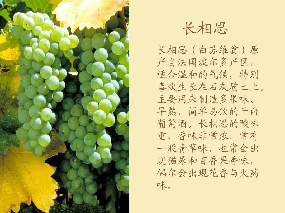 一分钟看懂红白葡萄酒分类，建议收藏！