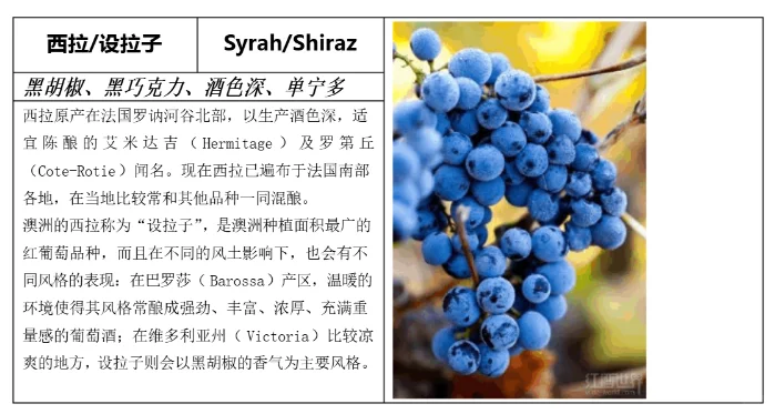 一分钟看懂红白葡萄酒分类，建议收藏！