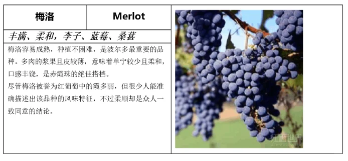 一分钟看懂红白葡萄酒分类，建议收藏！