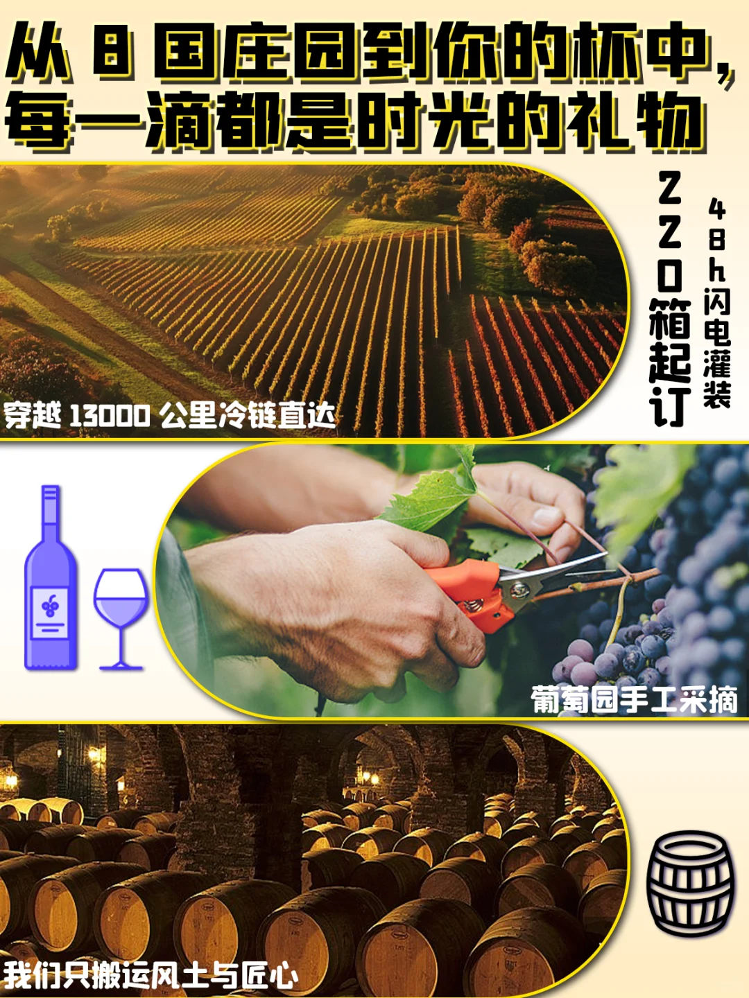 「99%进口商不会说的秘密 都在这里！」