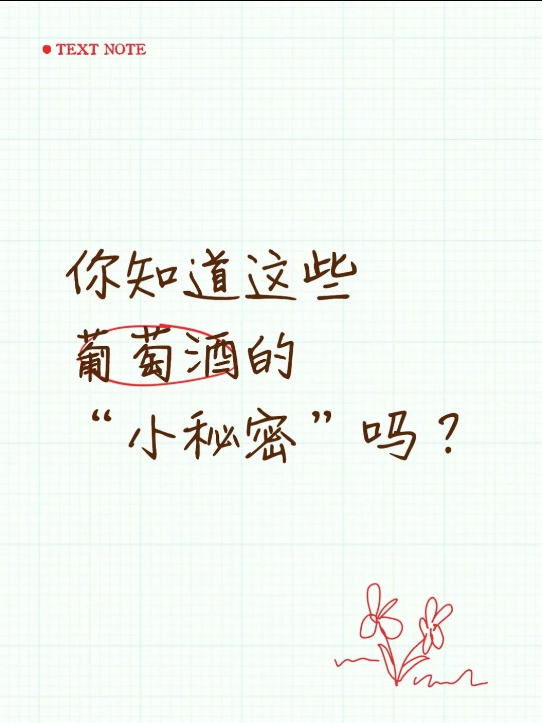 你知道这些葡萄酒的“小秘密”吗？