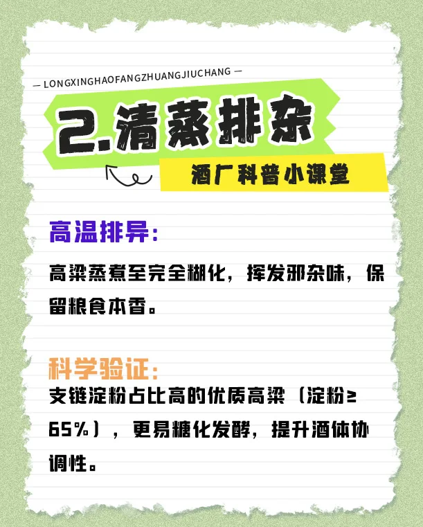 ✨ 三分钟搞懂