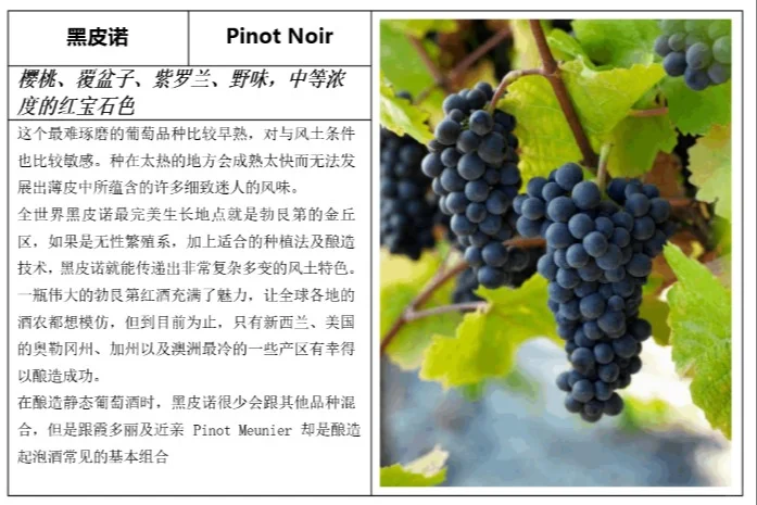 一分钟看懂红白葡萄酒分类，建议收藏！