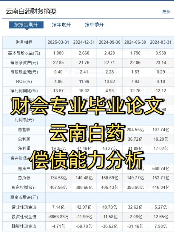财会生必看！白药的偿债能力分析真的好写✅