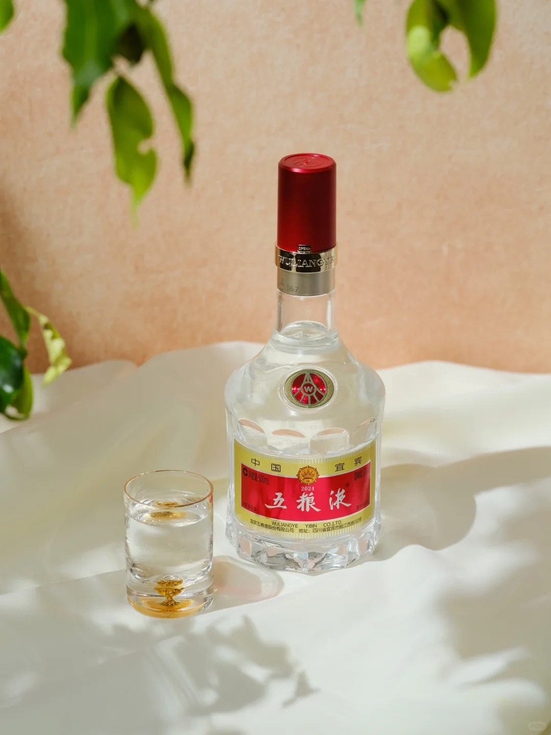 summer｜感受夏日阳光，品五粮液好酒