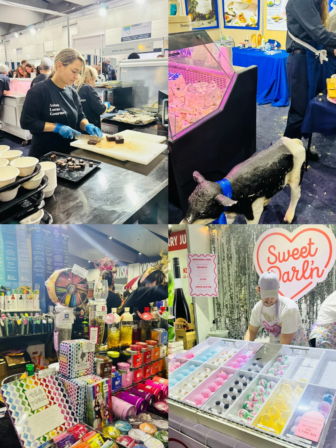 ??墨尔本｜更适合酒蒙子的美食美酒展??