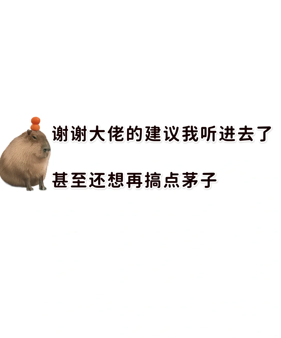 想买茅子