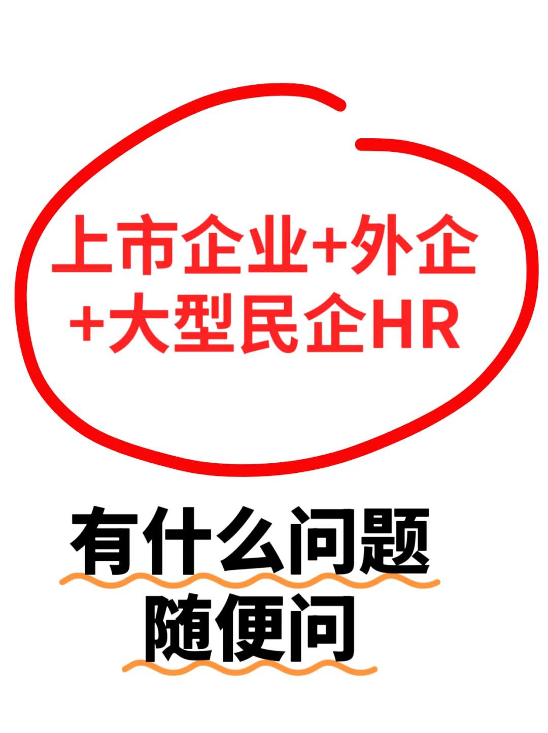 前上市企业+外企+大型民企HR