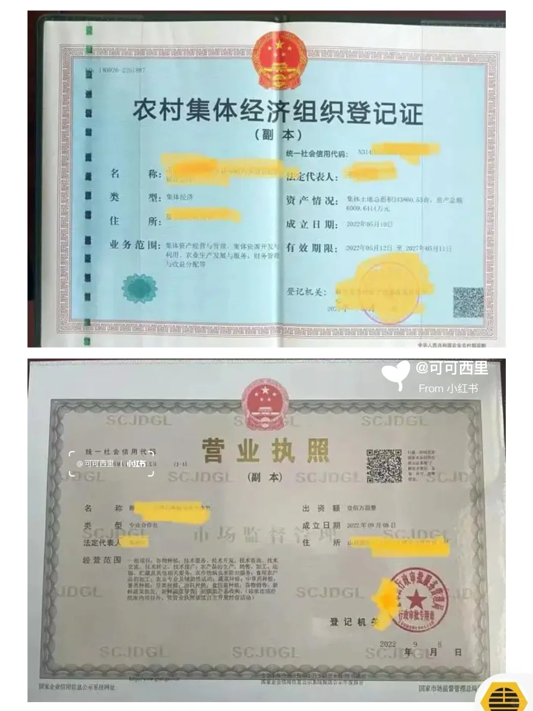 对公存款人类别，科目号，人行客户分类大全