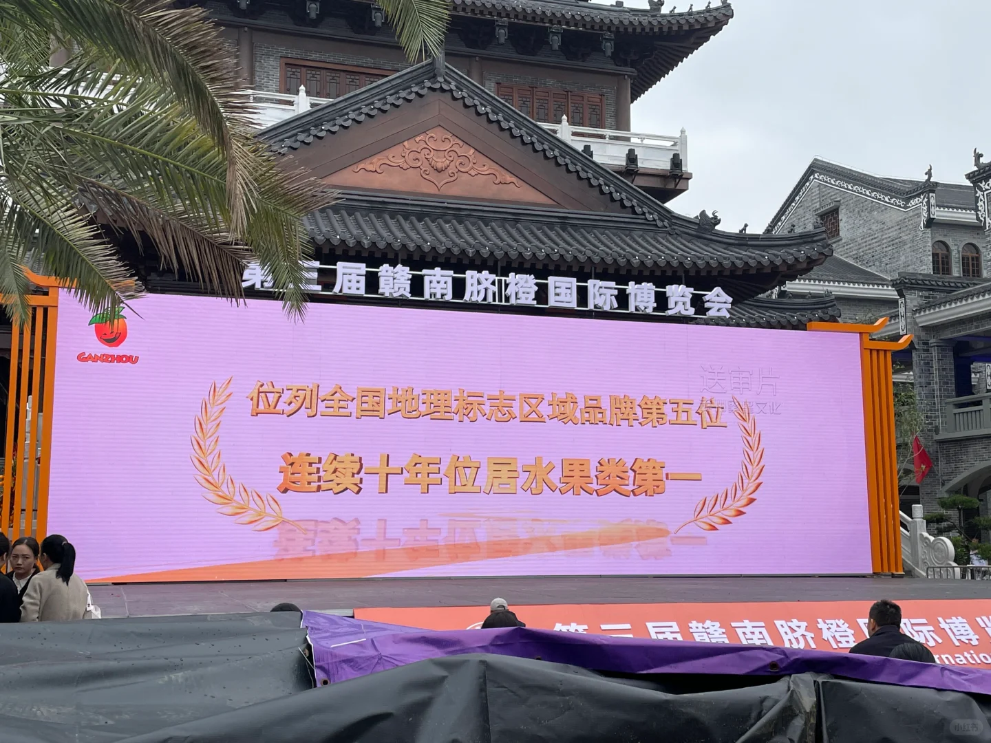 赣南脐橙博览会即将开幕啦