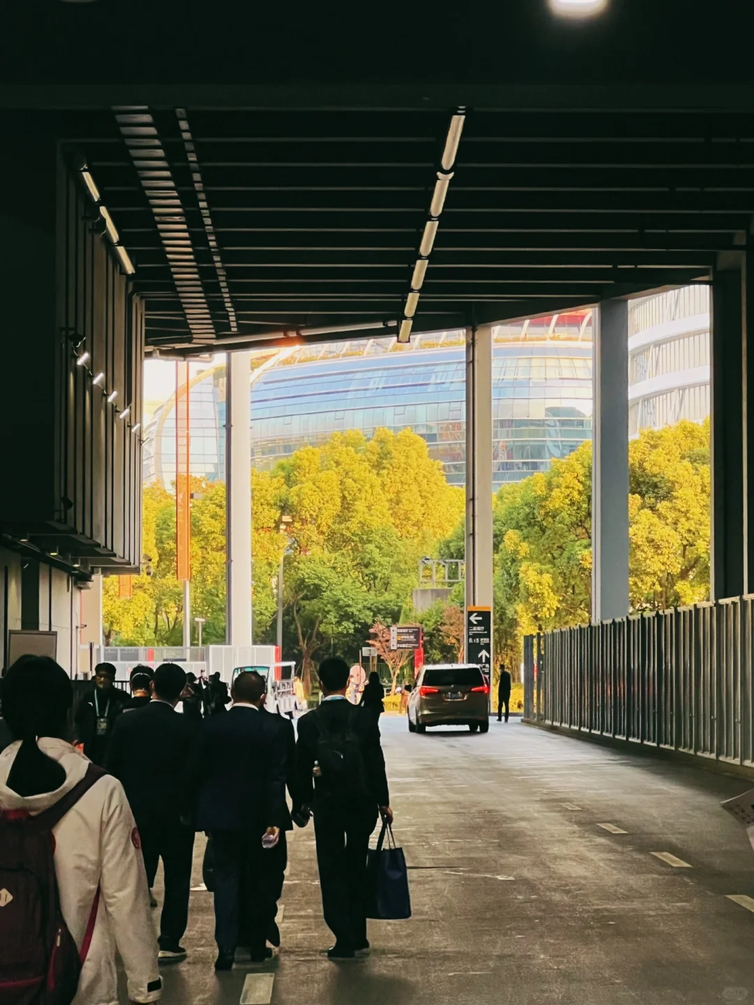 又一年进博会?从观展到参展，这五年很长。