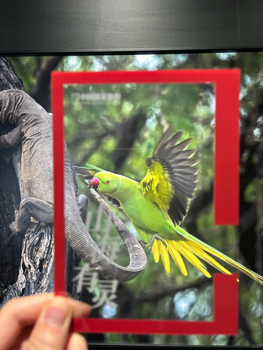 在北京看一场免费的野生生物展！