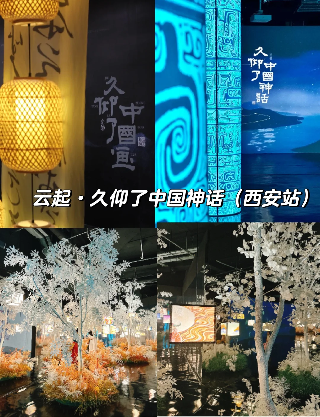 西安看展指南，12月展览大盘点～