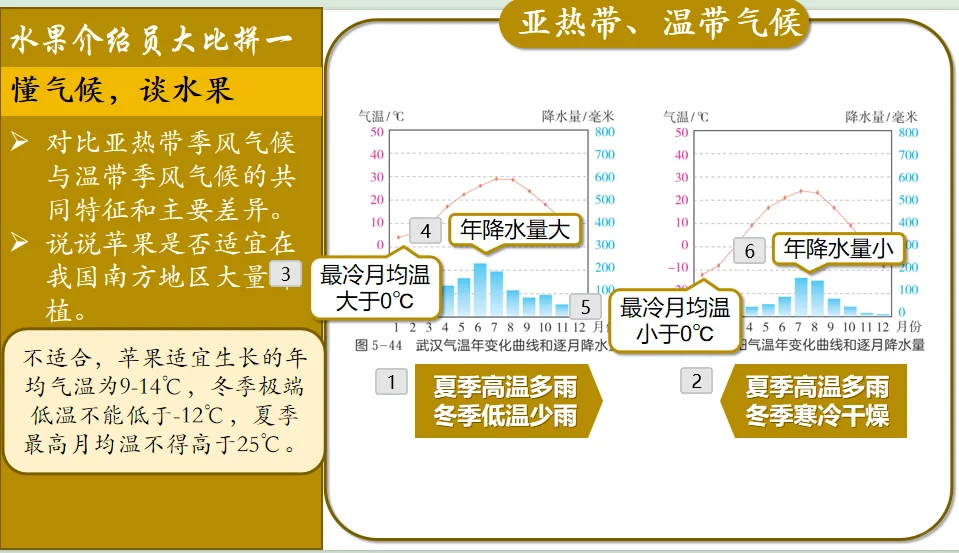 “水果展览会”世界气候第二课时来啦！！