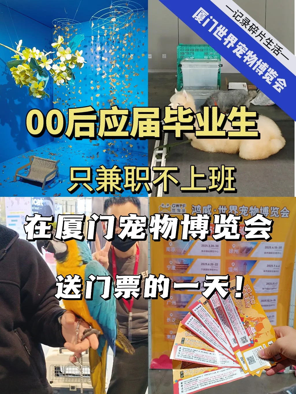 只兼职不上班在厦门世宠博览会送门票啦?