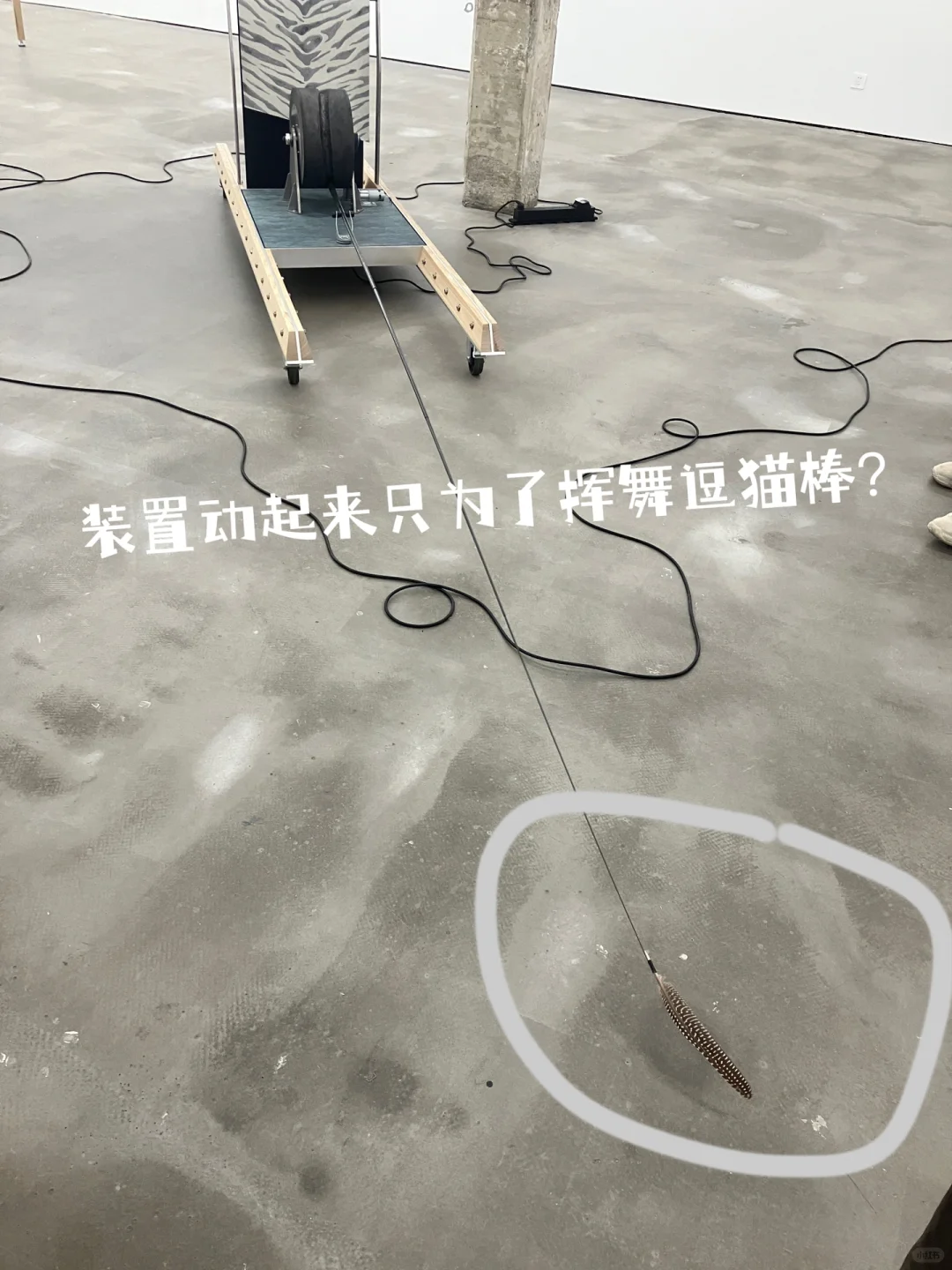 伦艺毕业的艺术家个展是什么样的？