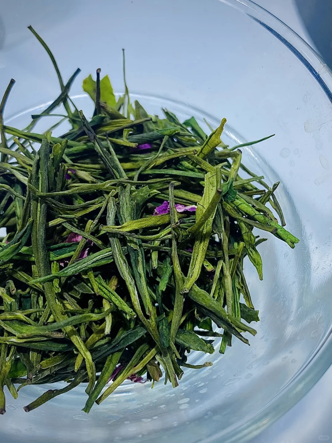 深圳这里?奶茶檸檬茶喝到飽？而且免費！