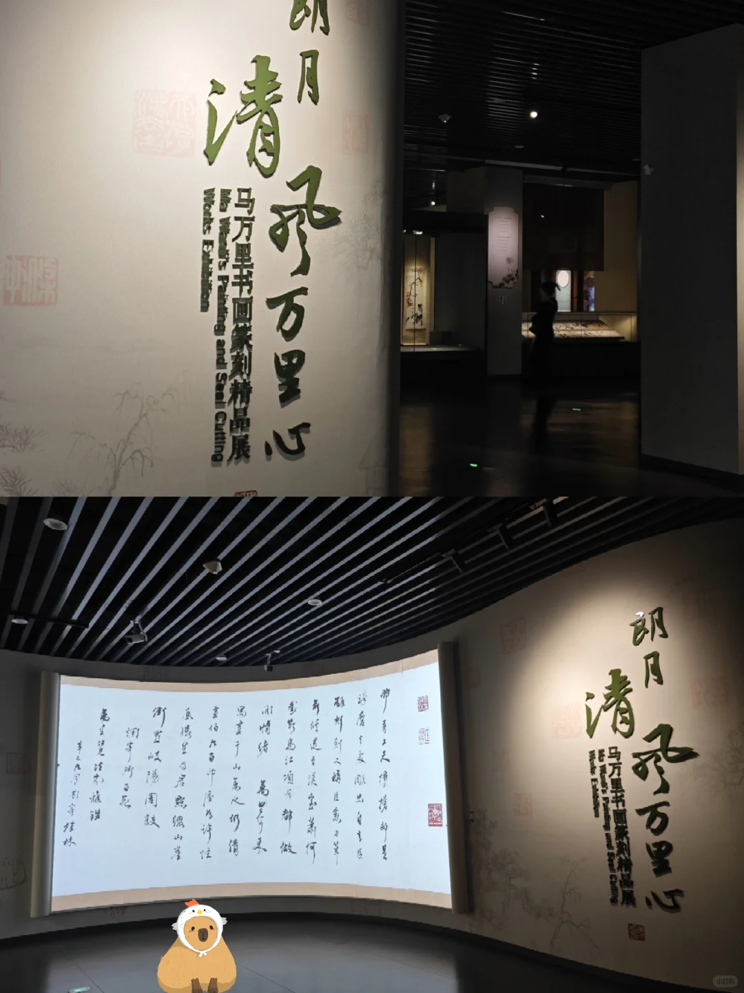 南宁看展‖广西区博新展：马万里书画篆刻展