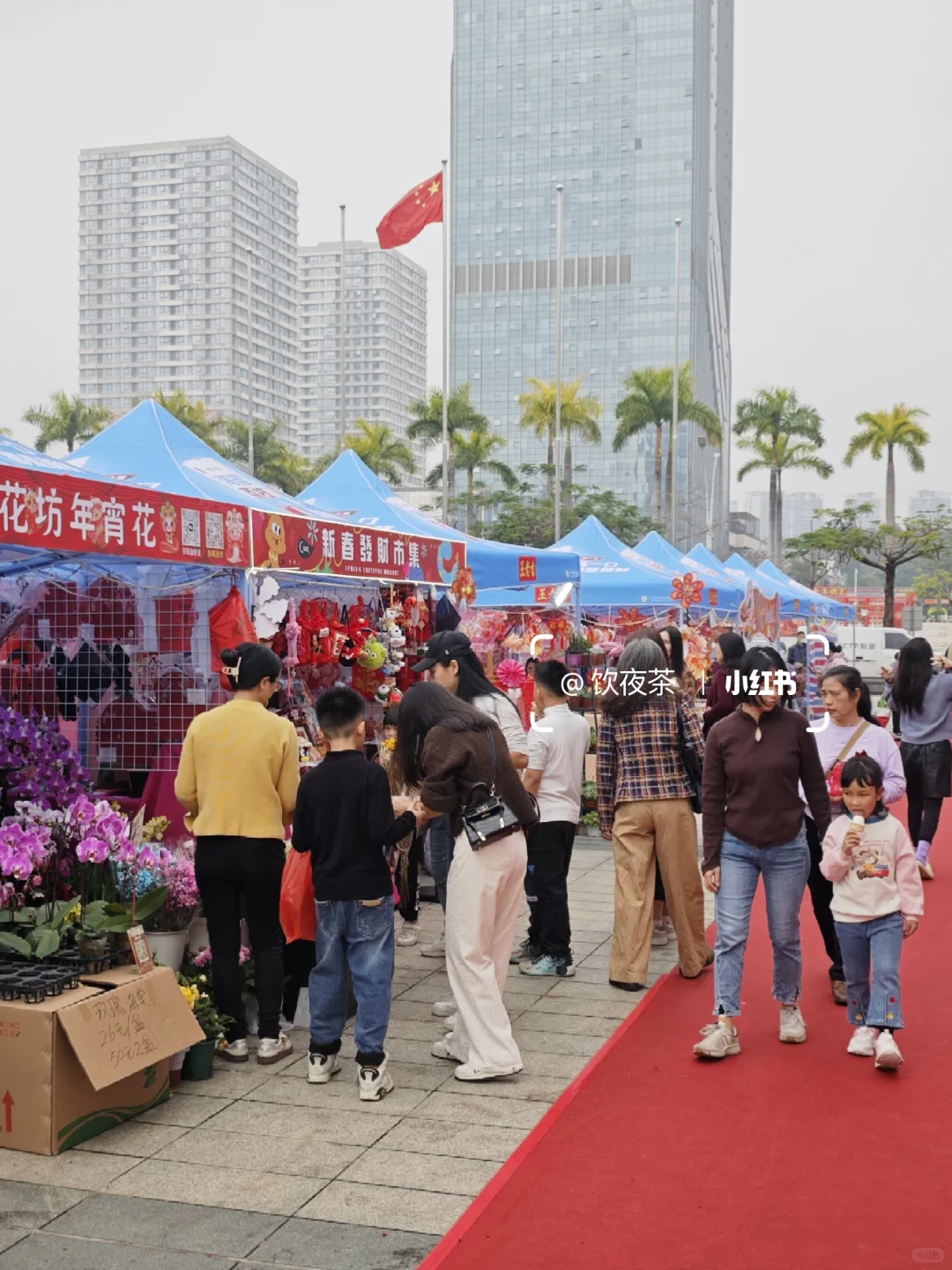 江门溜娃好去处｜华侨广场迎春花市