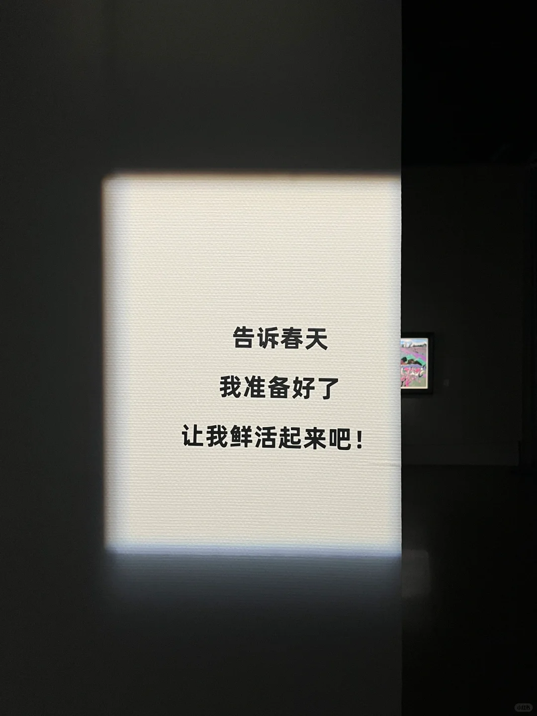 威海新展｜冬日浪漫的雪花艺术展❄️