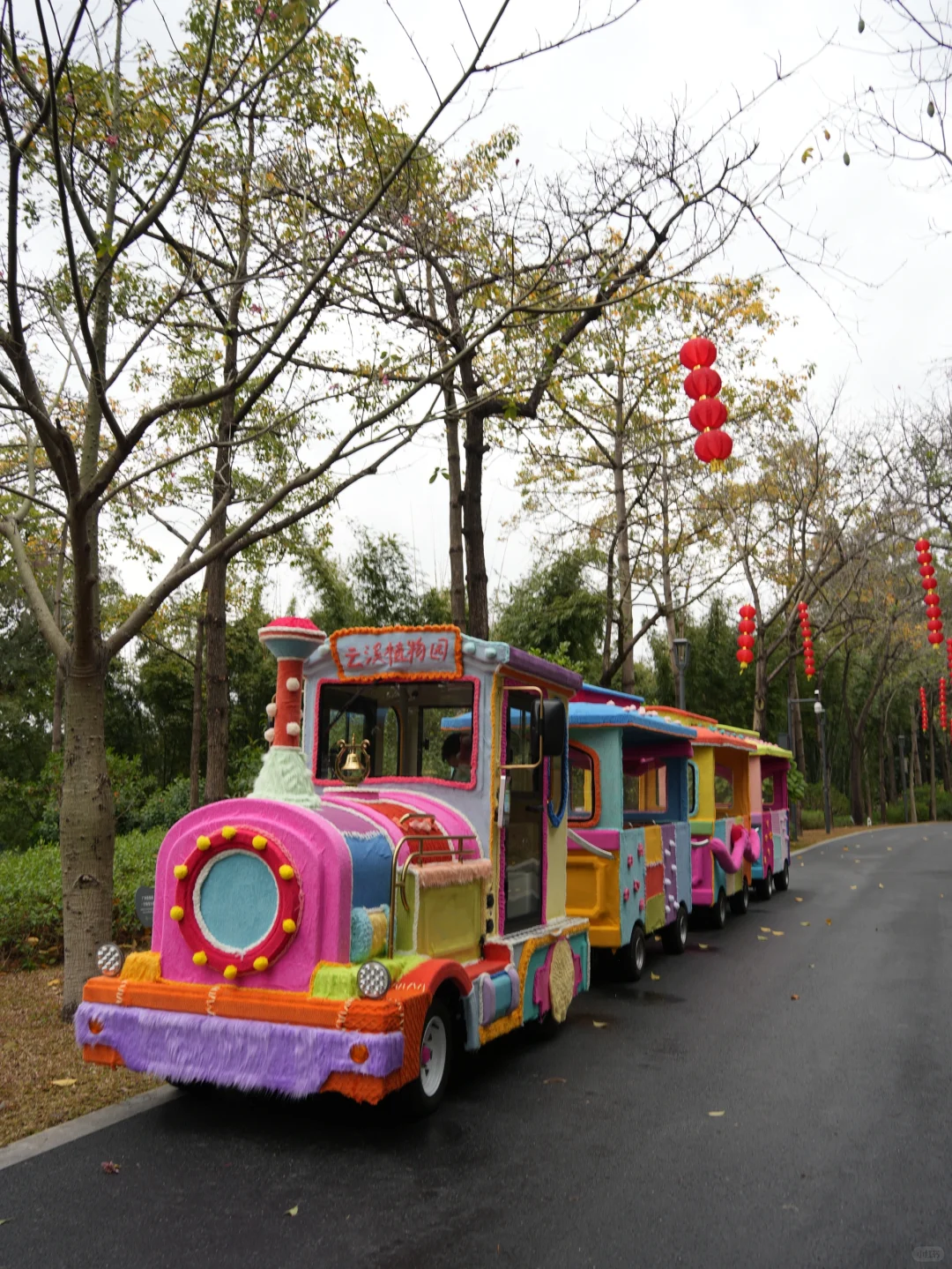 春节小众宝藏地｜附广州园林博览会游览攻略