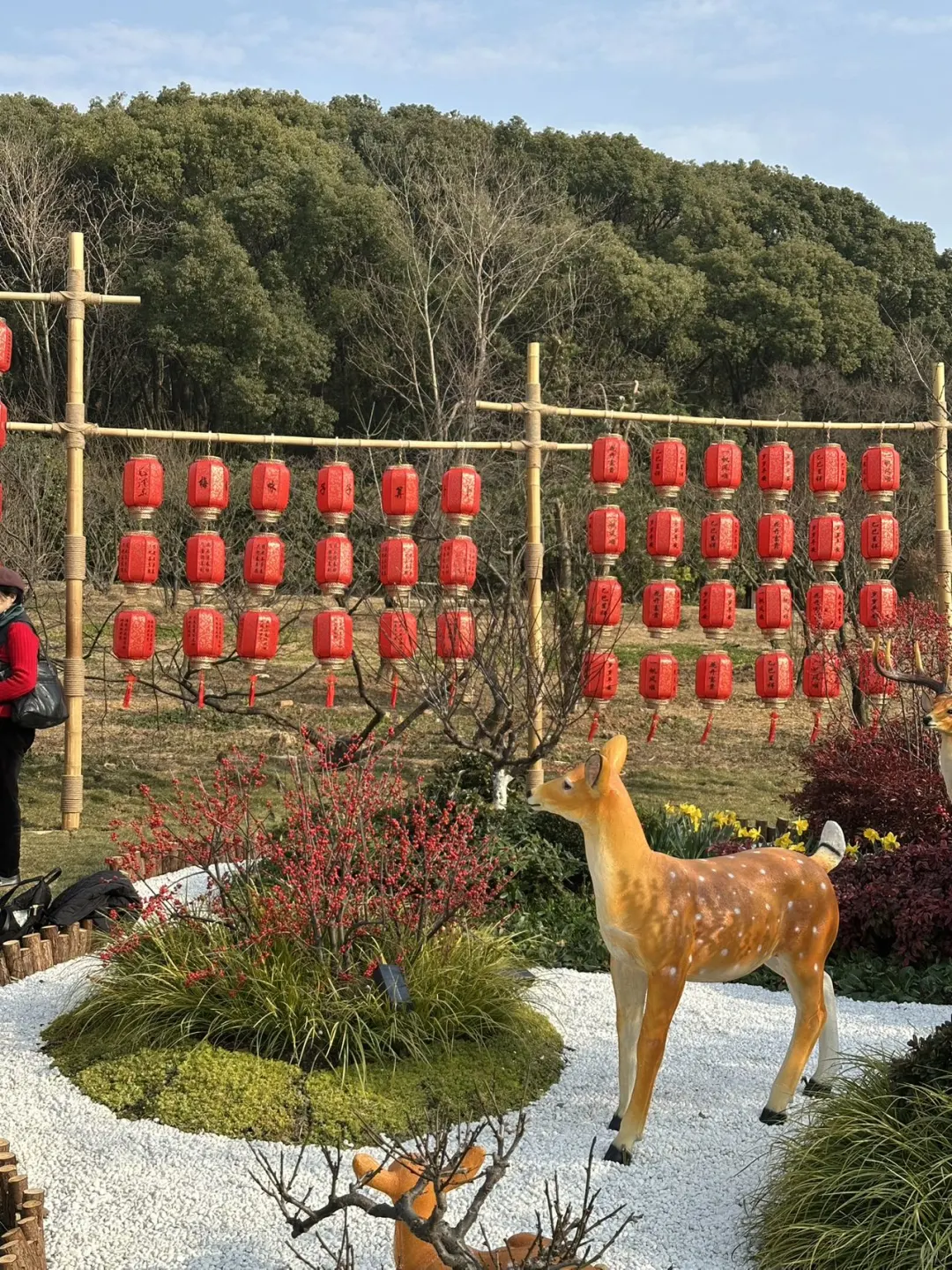 春节快带着家人一起来梅园吧