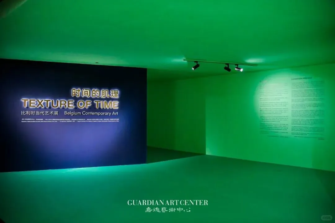 北京看展｜时间的肌理：比利时当代艺术展