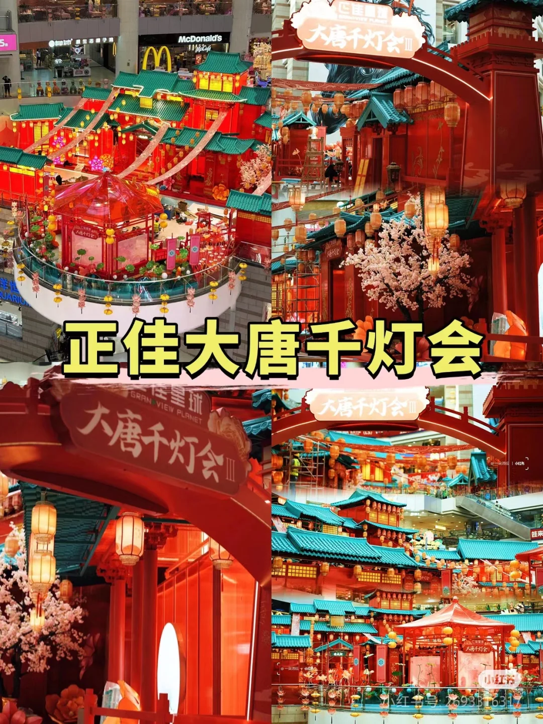 2025广州春节游玩攻略|烟花+灯会+花市合集