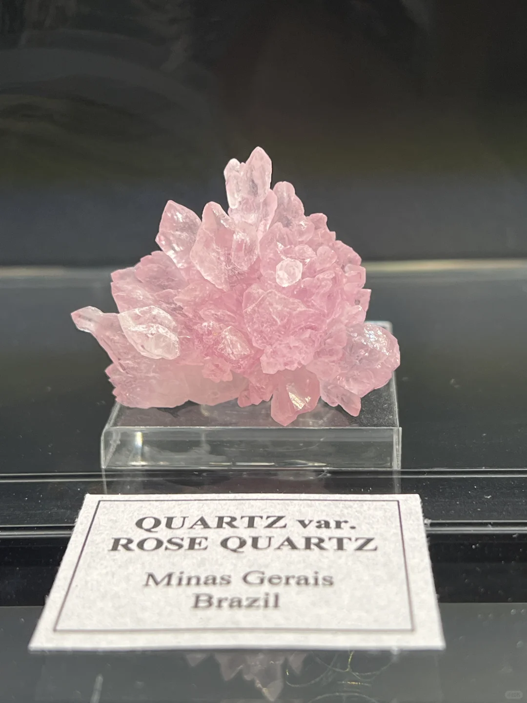 Tucson gemshow