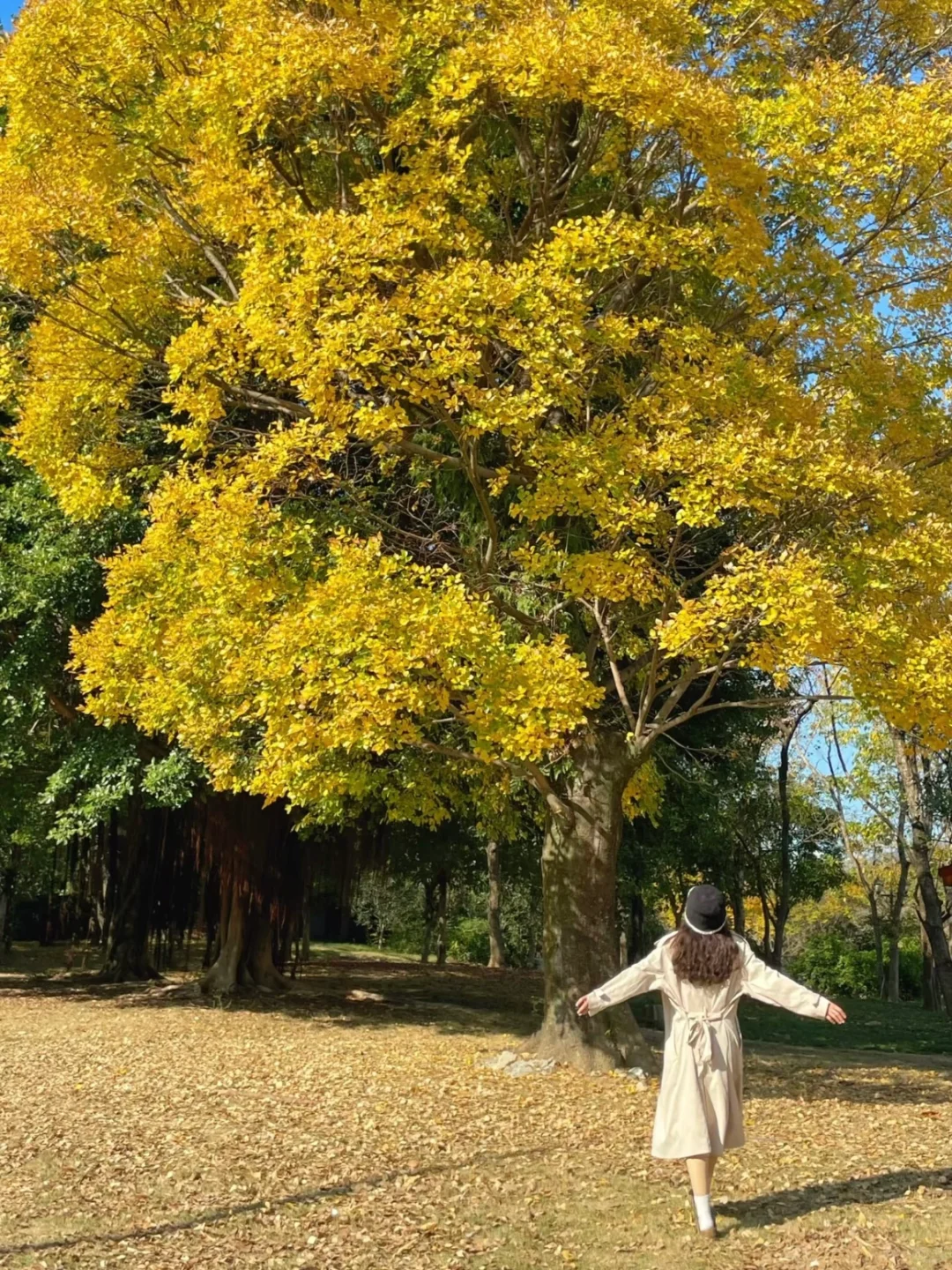 在福州！！找到了绝美秋天！！