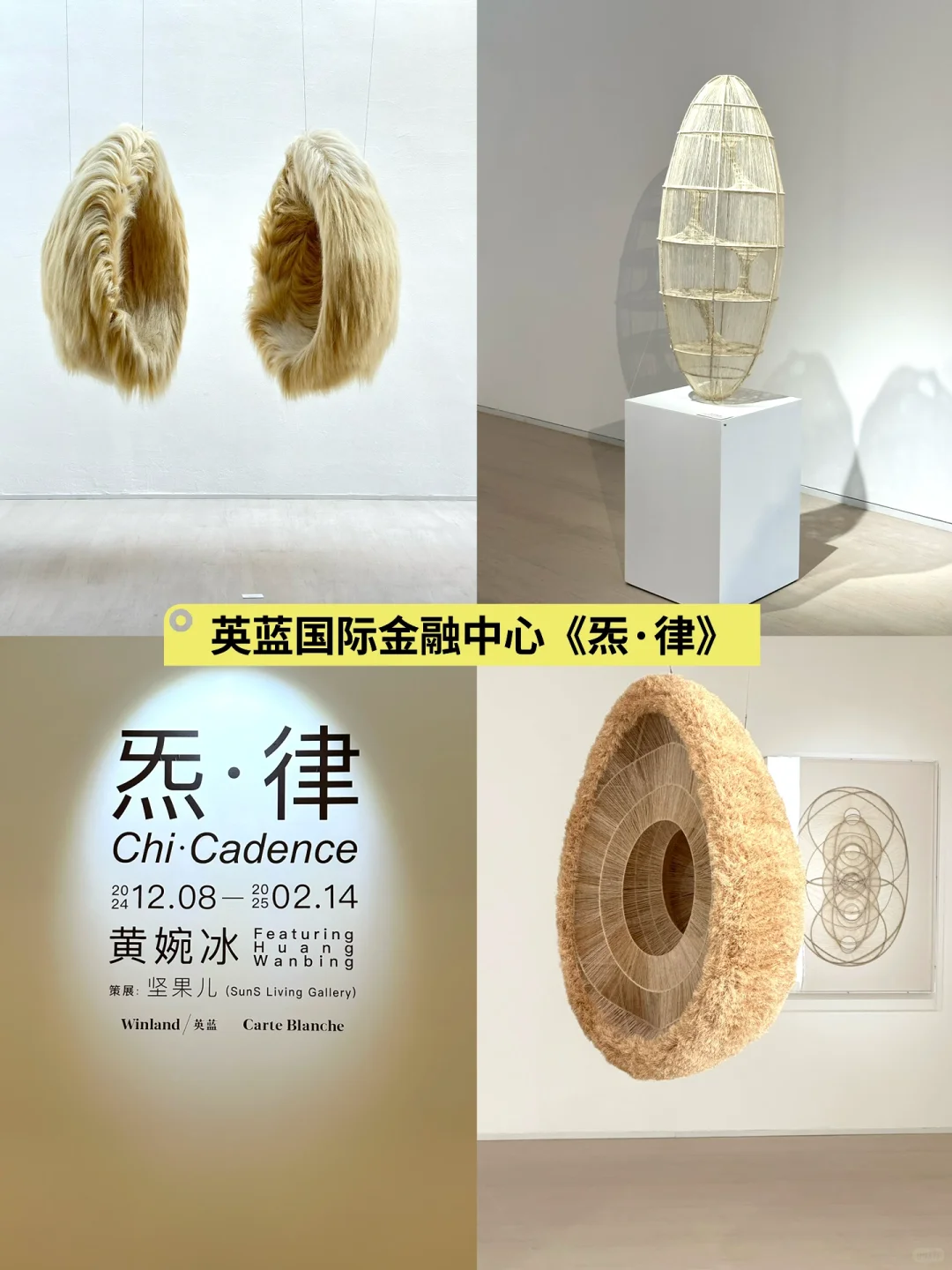 北京1、2月FREE展，必看有趣的小众展合集！