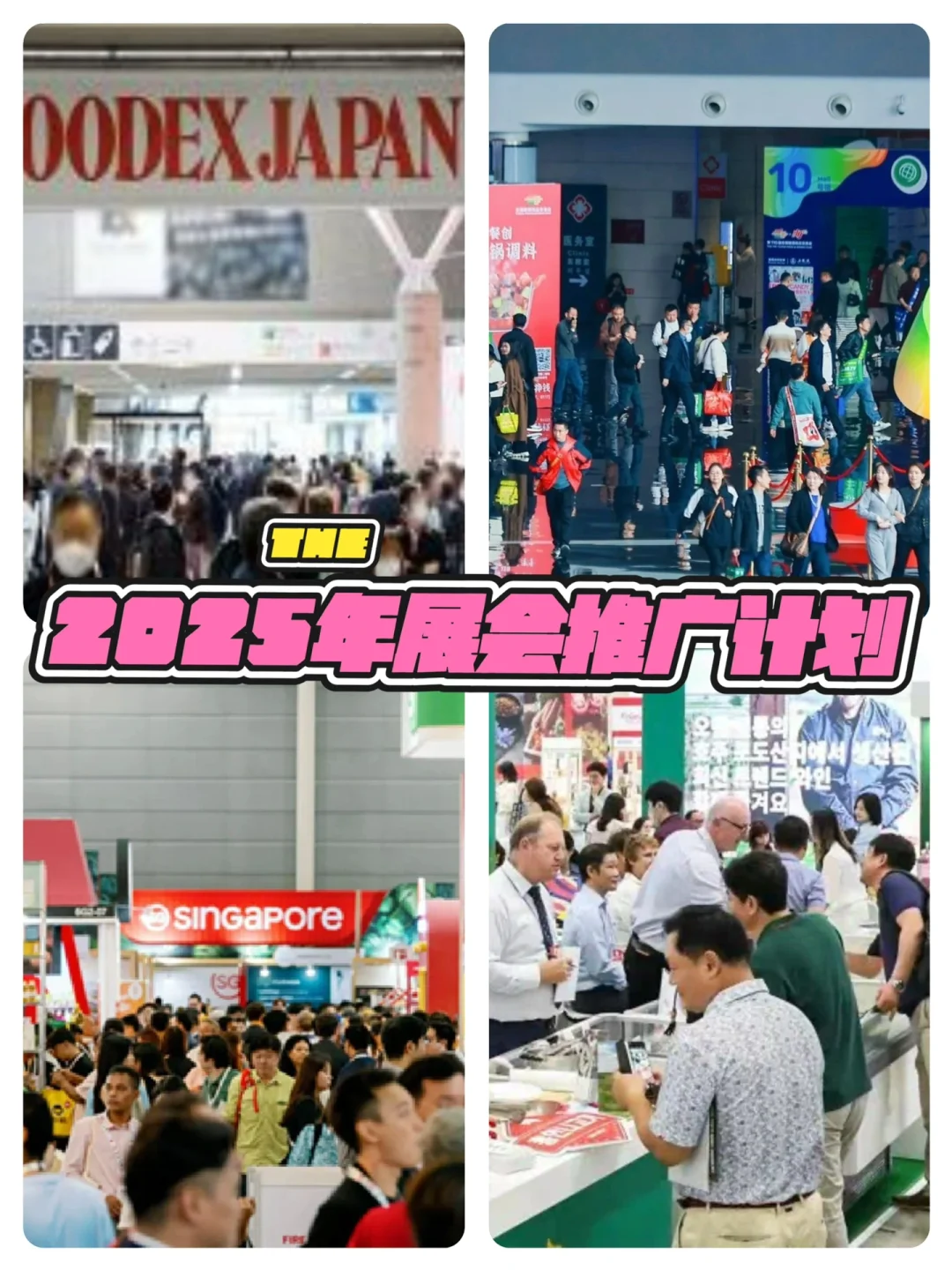 ?【2025年全球美食盛宴，展会推广计划开启！】