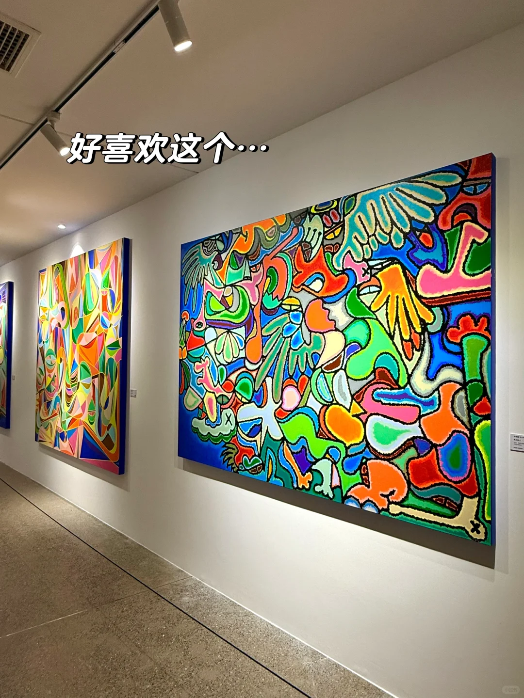 大连遛娃！新展！！！好治愈好出片啊！！