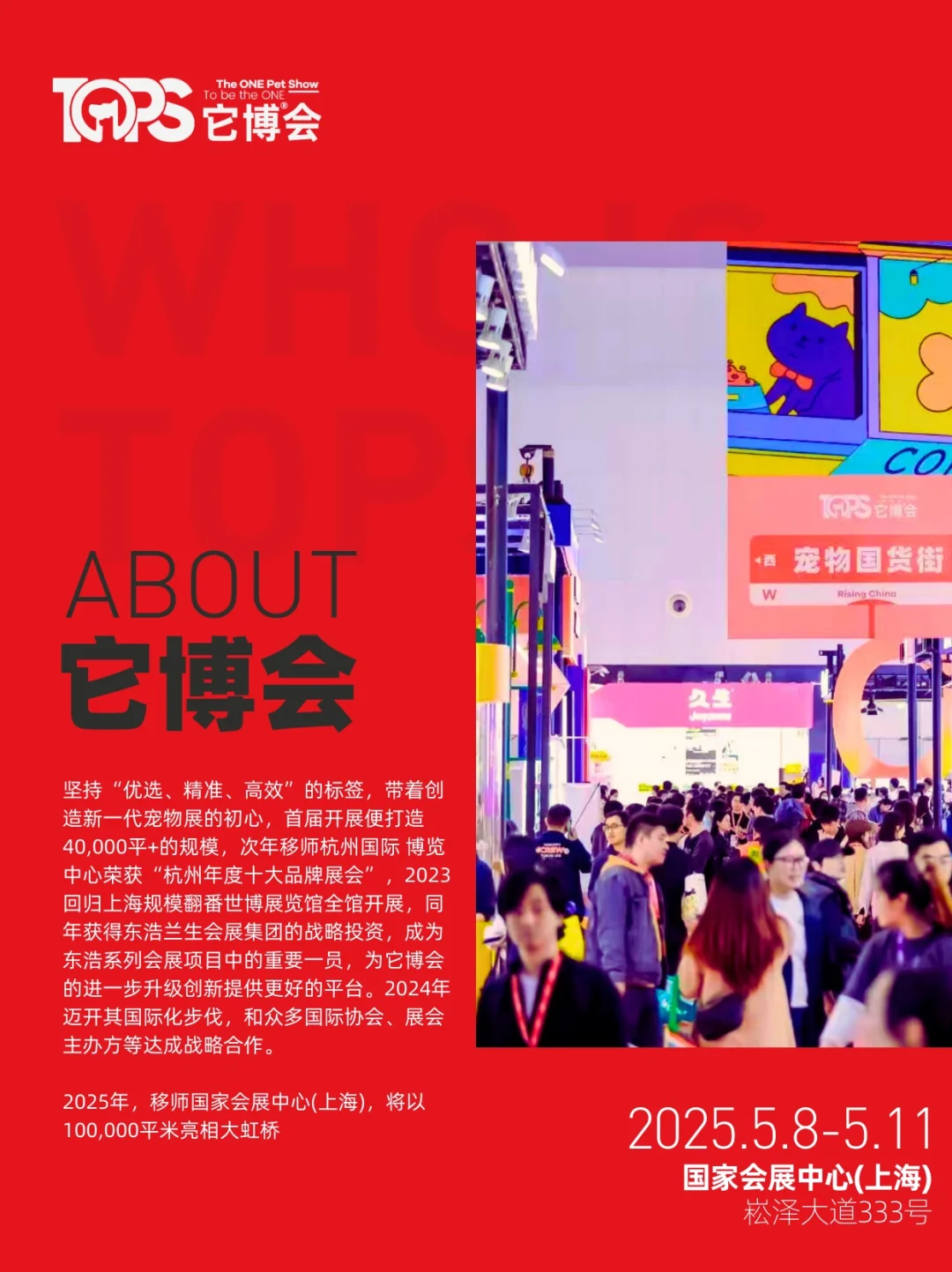 上海Citywalk｜线下首次亮相它博会