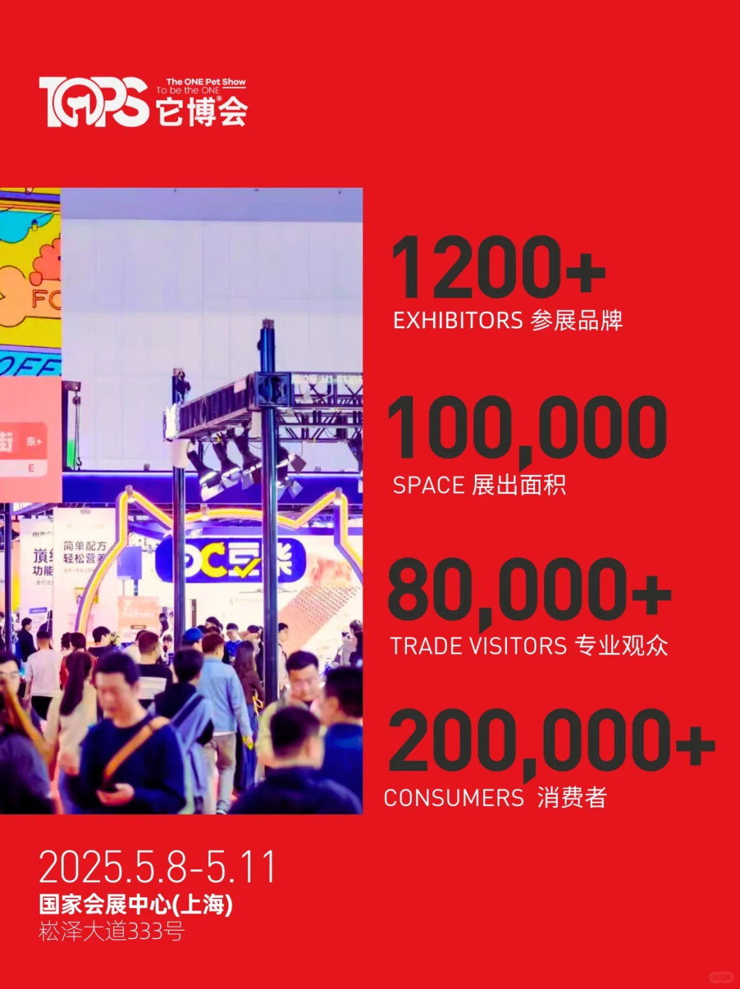 上海Citywalk｜线下首次亮相它博会