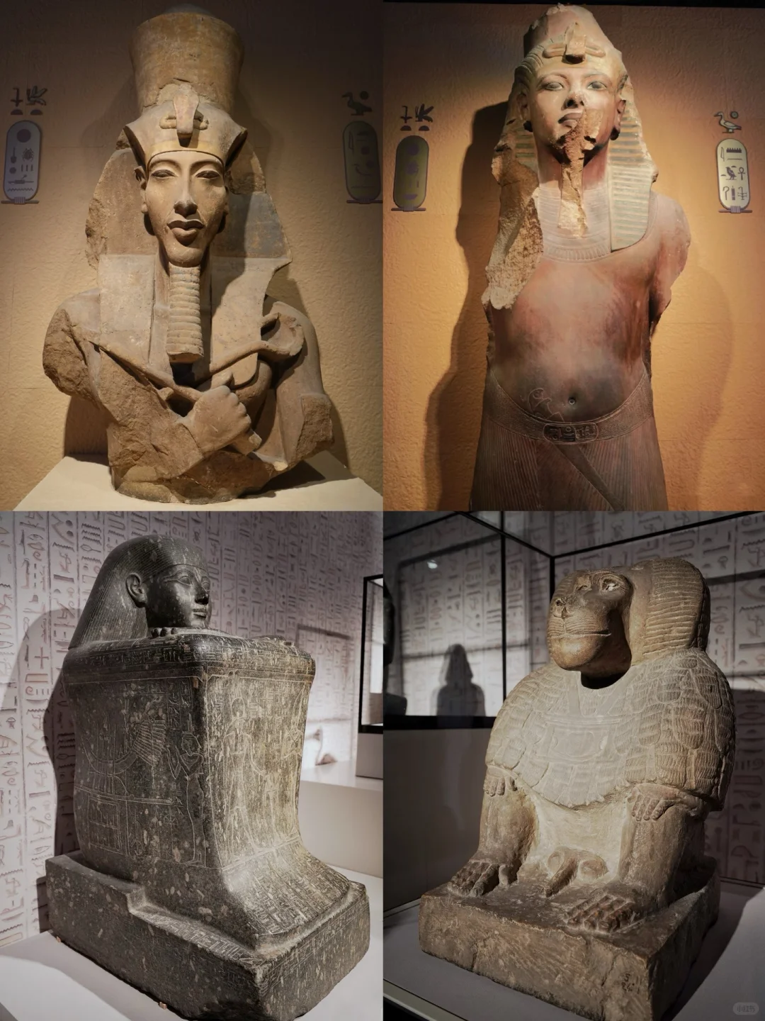 上博埃及展必看指南！！