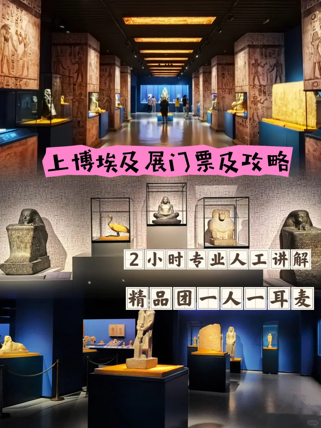上博埃及展必看指南！！