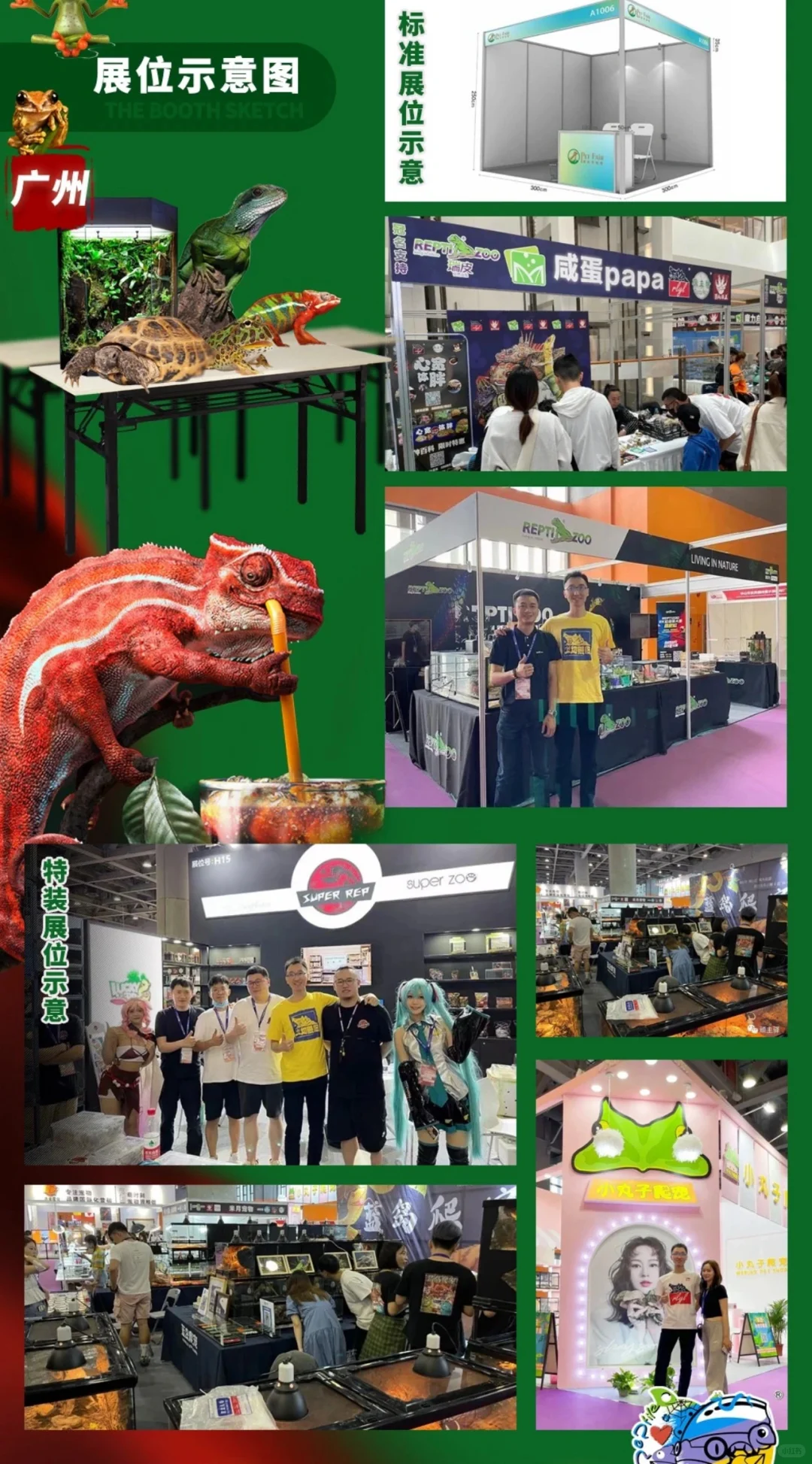 6?️见?广州高彬宠物展3天通票25啦‼️