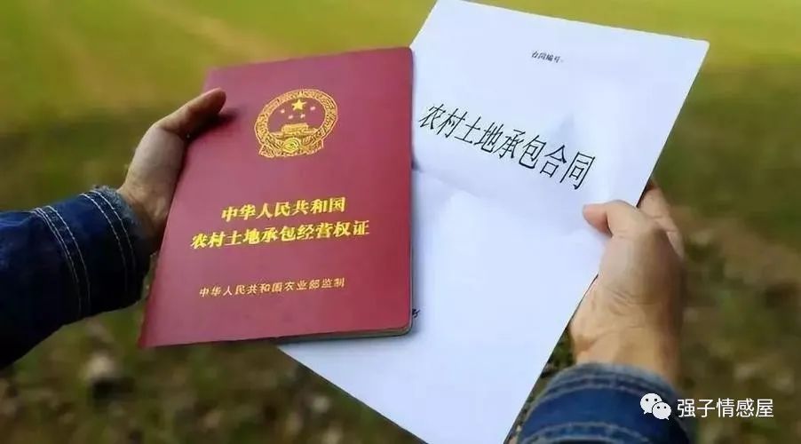 土地流转与电商众筹相结合的应用.zip