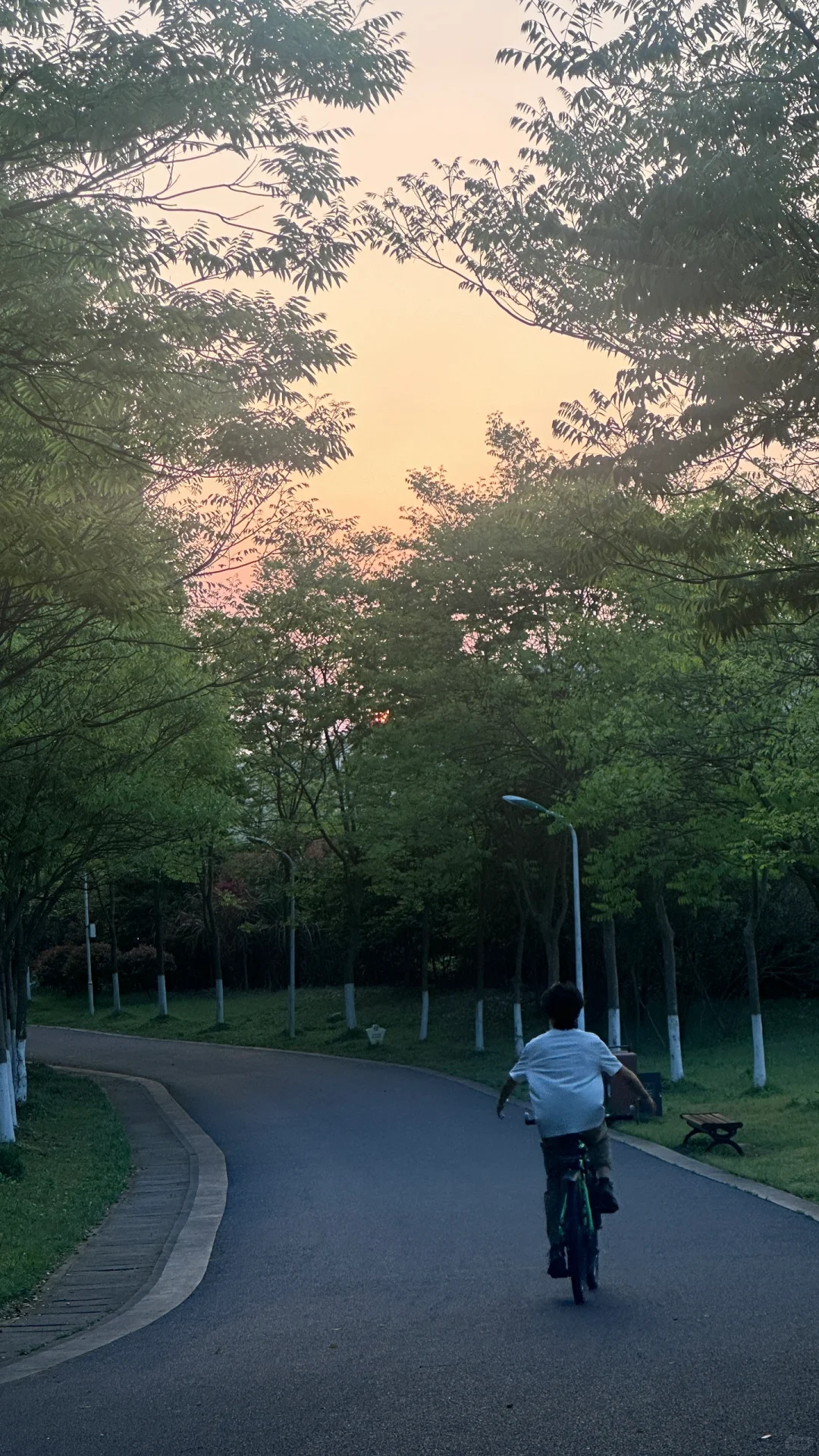 动漫店员5800/5300双休,每天工作8小时