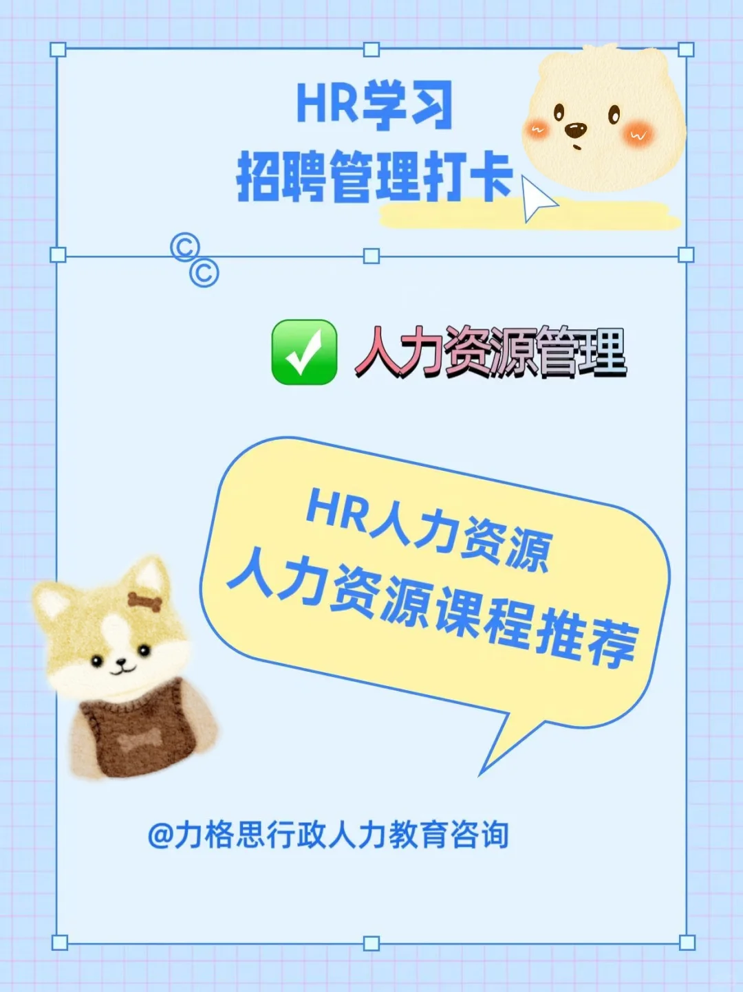 ?HR必看!高效招聘全流程干货指南