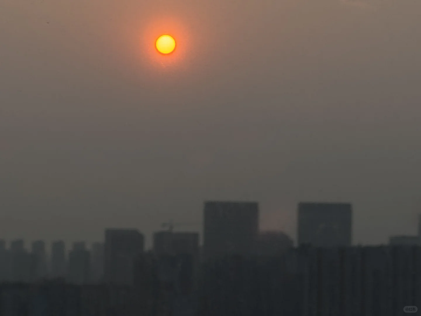 研三——参加招聘有感