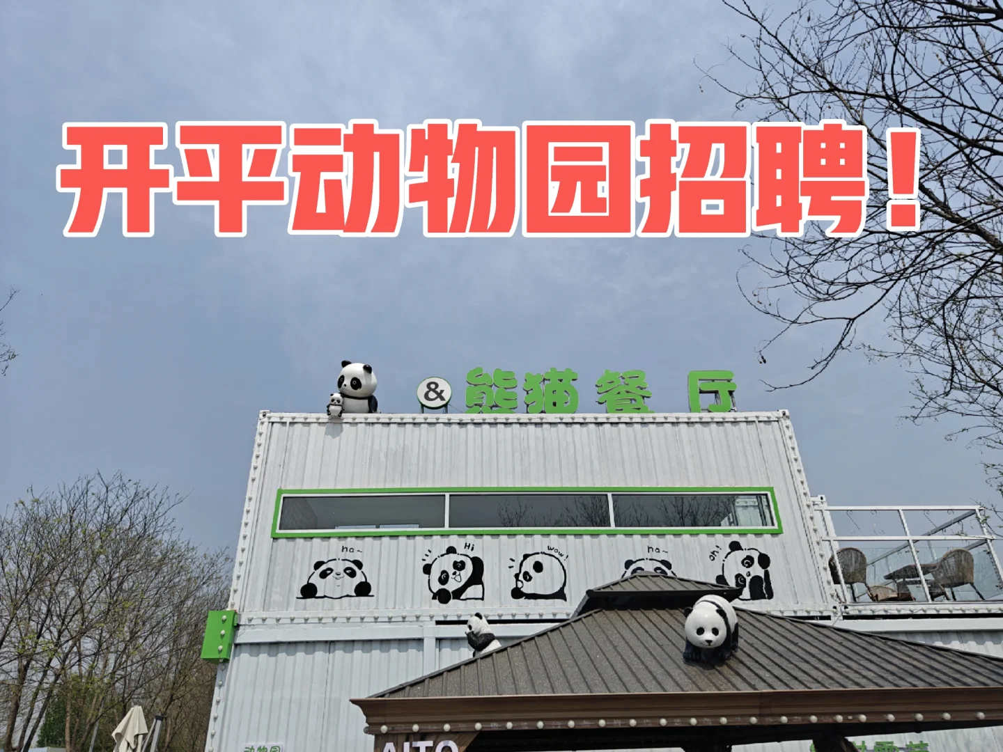 唐山开平招聘！招聘！招聘！